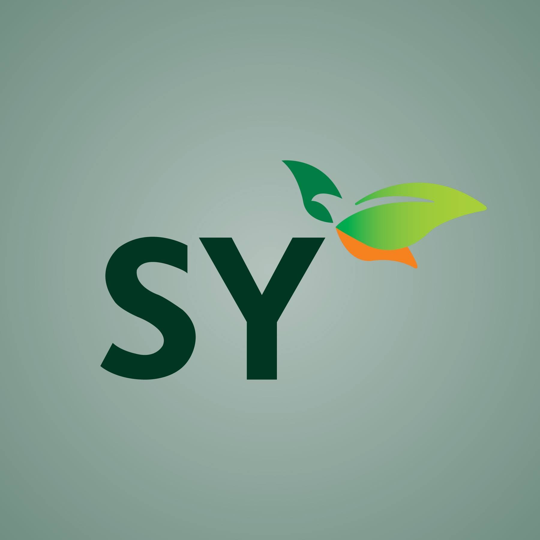 SY Panel is a Korean Panel